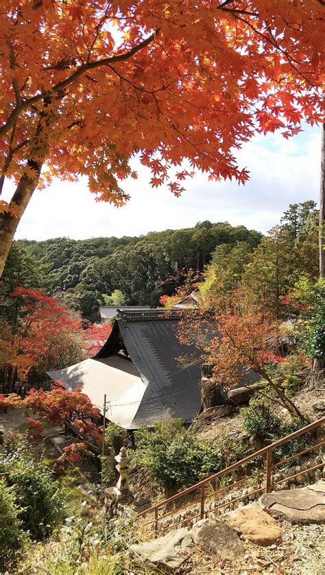 神峰山寺|大阪高槻市 日本最初毘沙門天 神峯山寺 Kabusanji